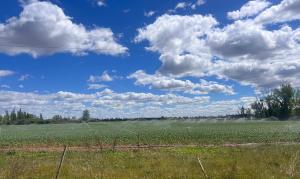 La campaña de riego arranca en la cuenca del Duero con más del 88% de agua embalsada